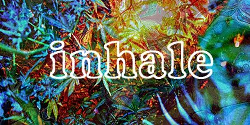 justinforand's profile banner image