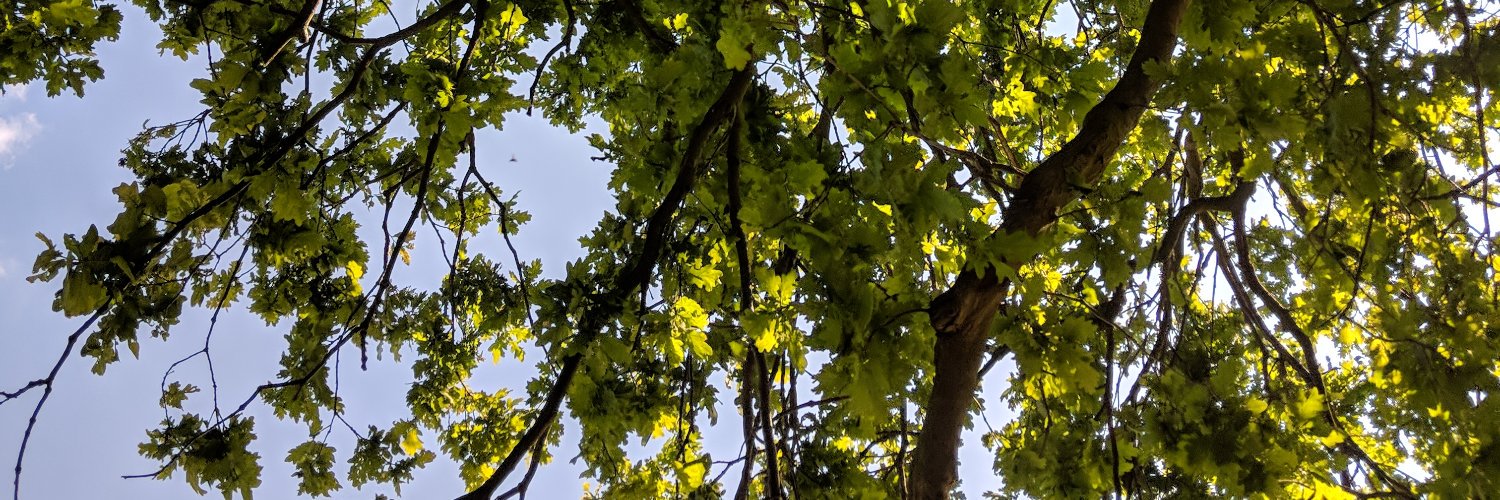 smacnaughtan's profile banner image