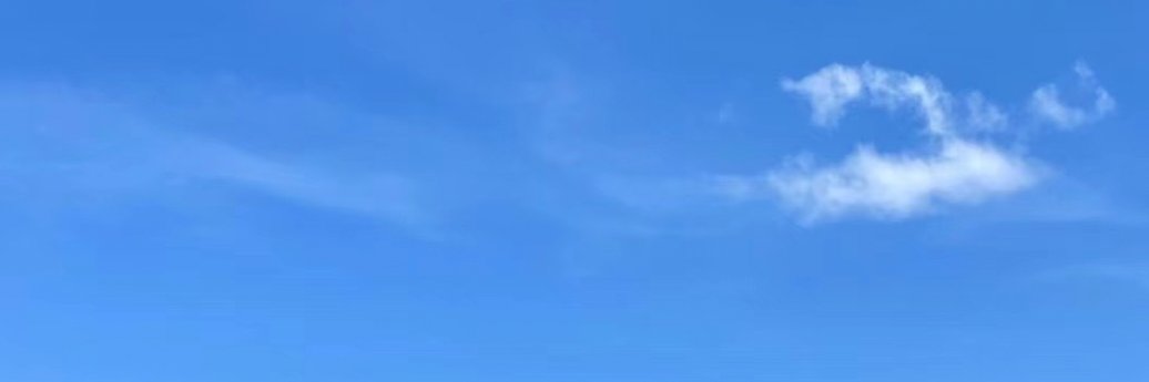 Martin Gomez/❤ Memecoin banner