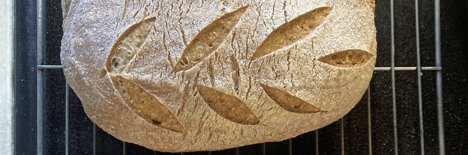 Elspeth Murray banner