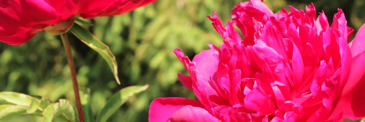 AnnReihmann's profile banner image