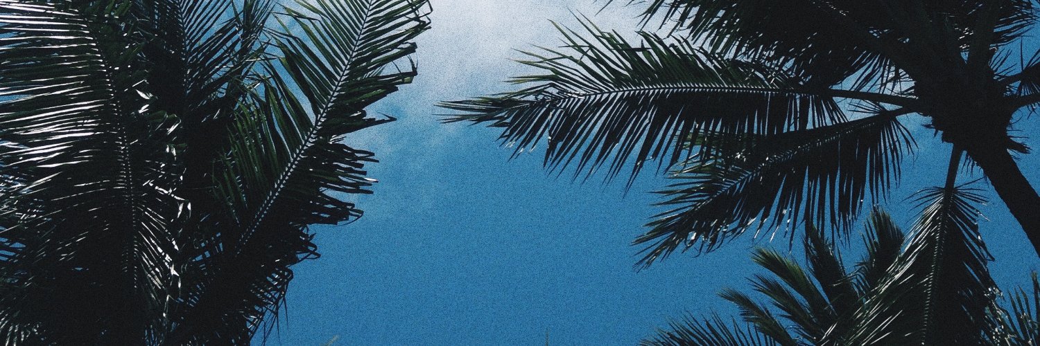 Tu Phan banner