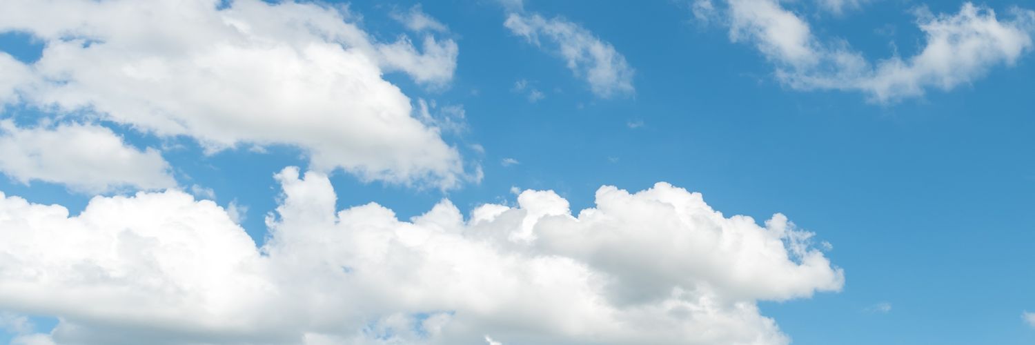lessli's profile banner image