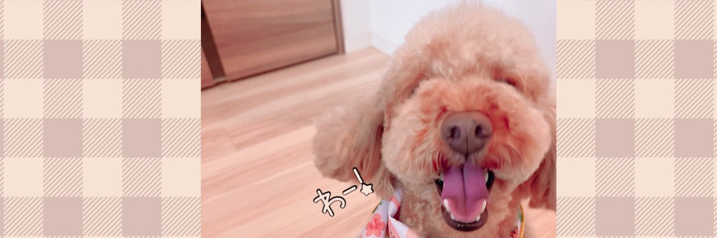twinkle_call's profile banner image