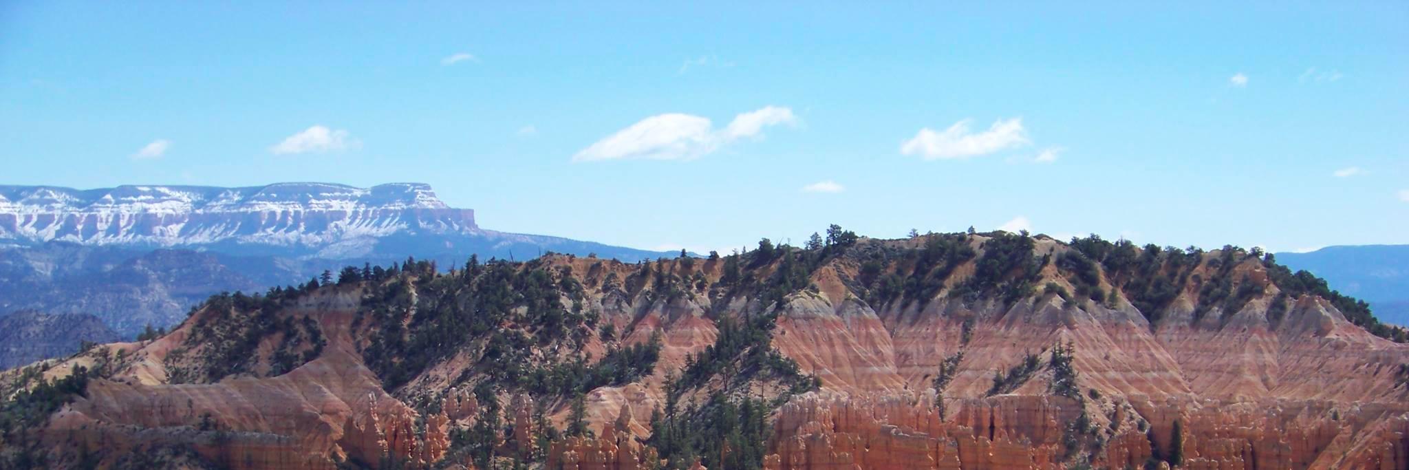 Jessica Horton banner