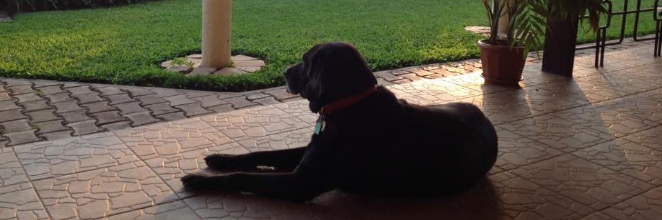 TVRuggles's profile banner image