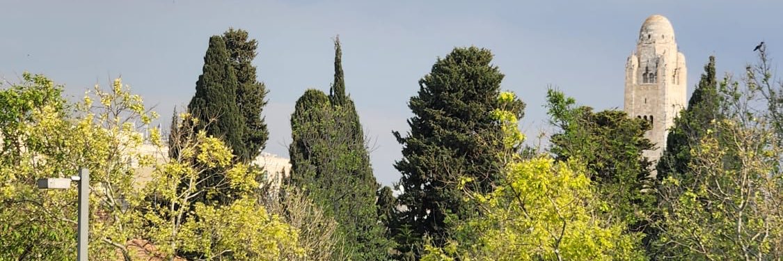 moshe blau banner