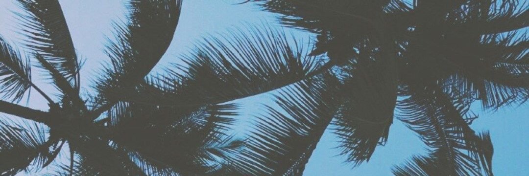CY_ylly's profile banner image