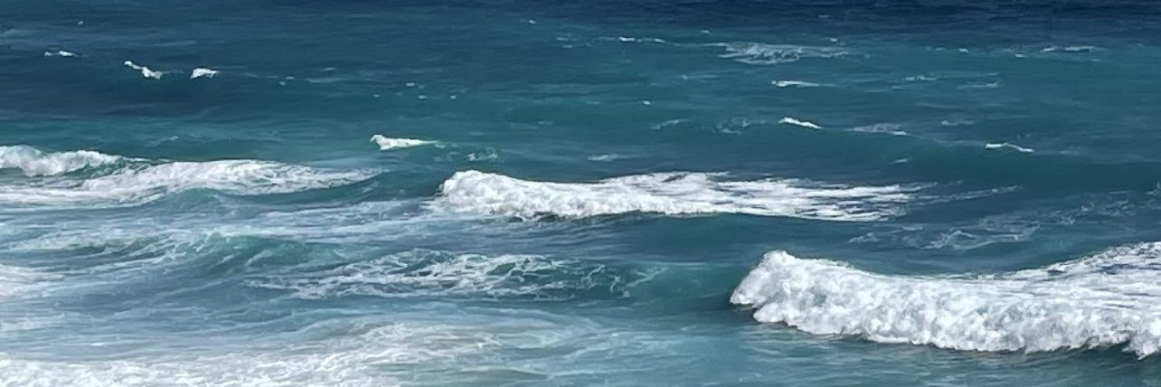 bluecoyotes's profile banner image