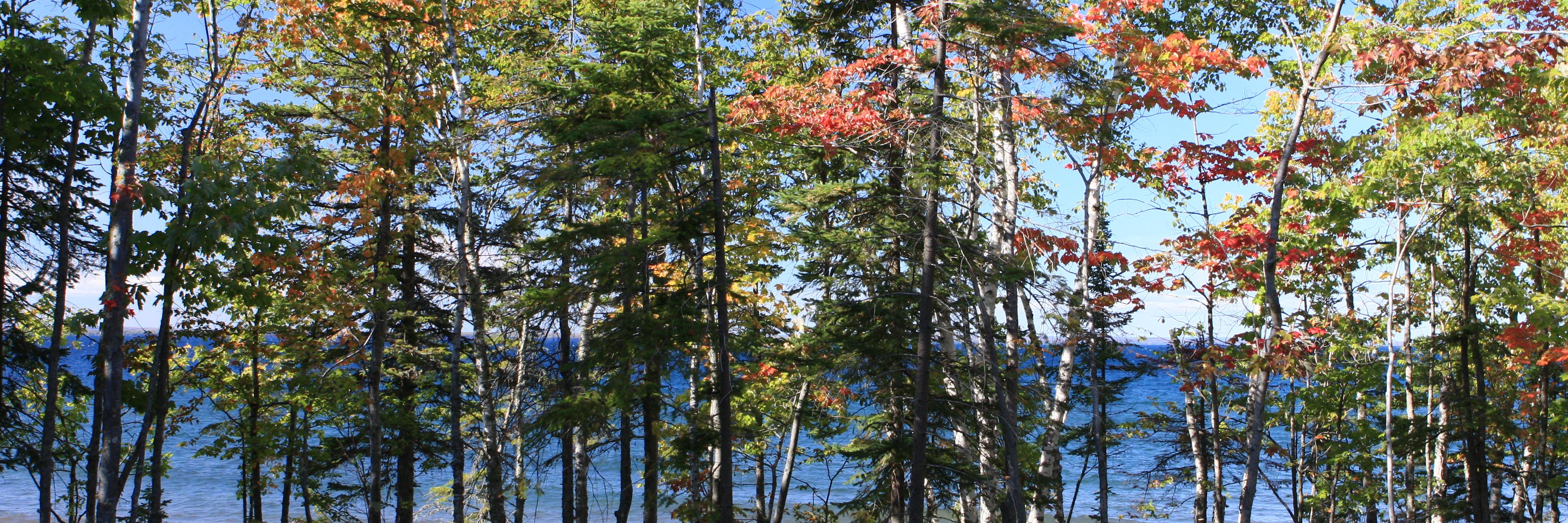 LauraColvin22's profile banner image