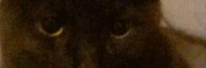 Evycide Fails ☠️ banner