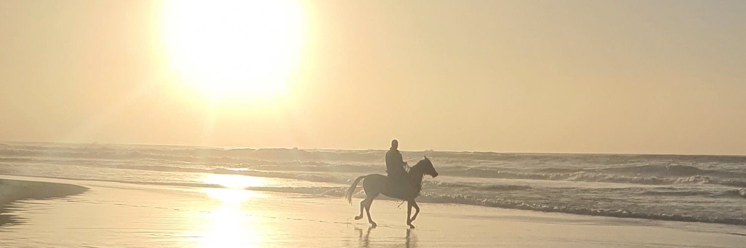 doha_mousa's profile banner image
