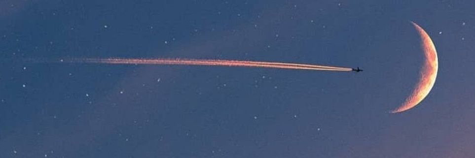 ysuyco's profile banner image