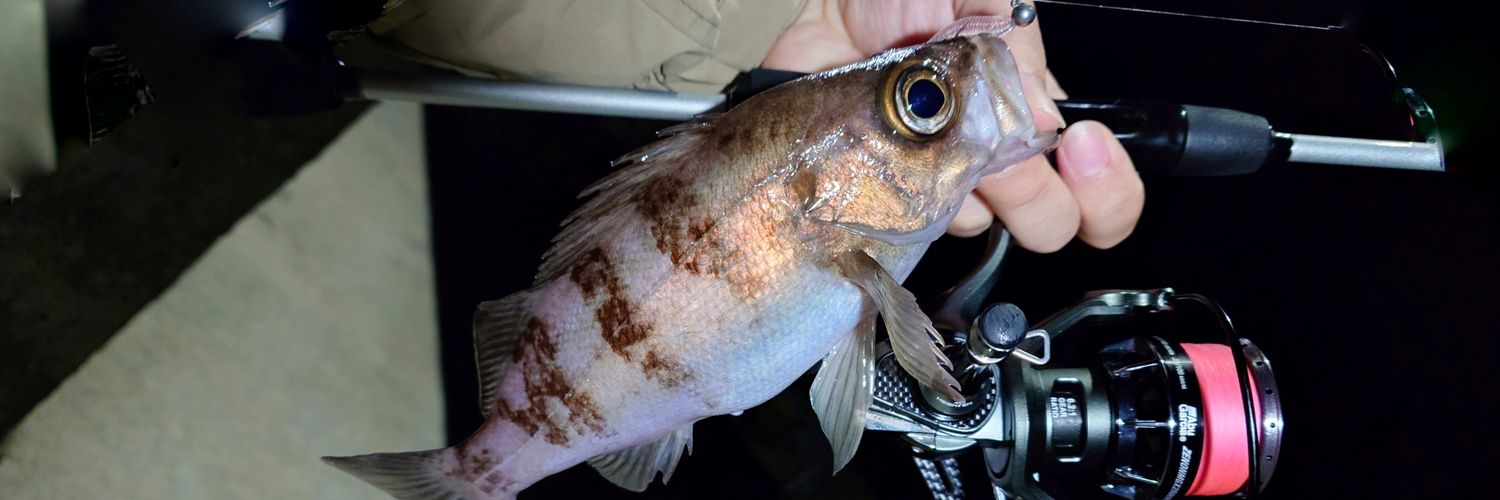 MADBOMB494(あべ) banner