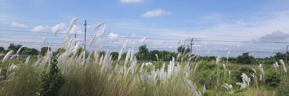 bua_dutta's profile banner image