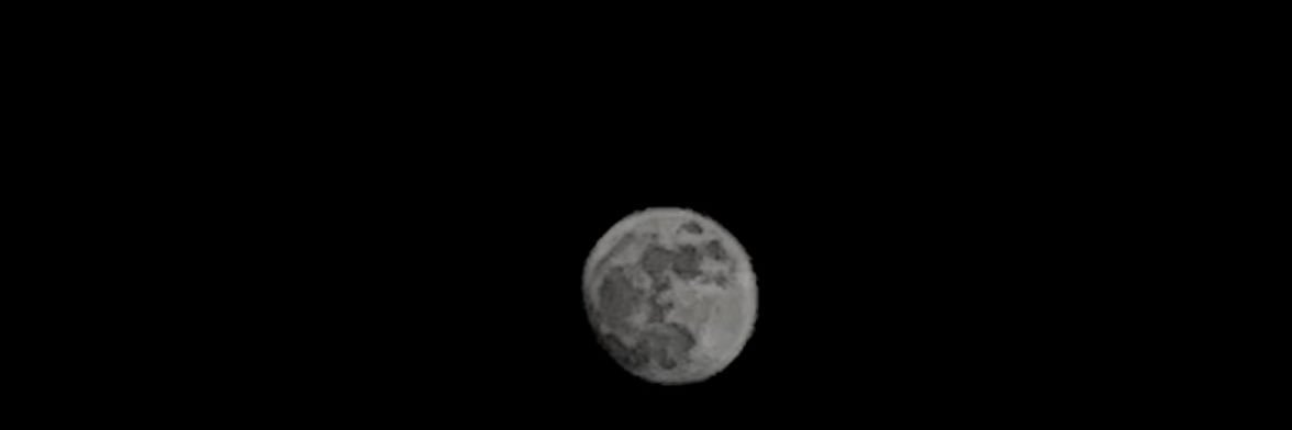 impineappleT's profile banner image