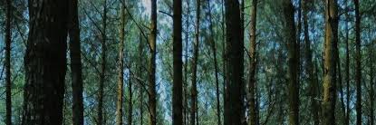 Im_alone69's profile banner image