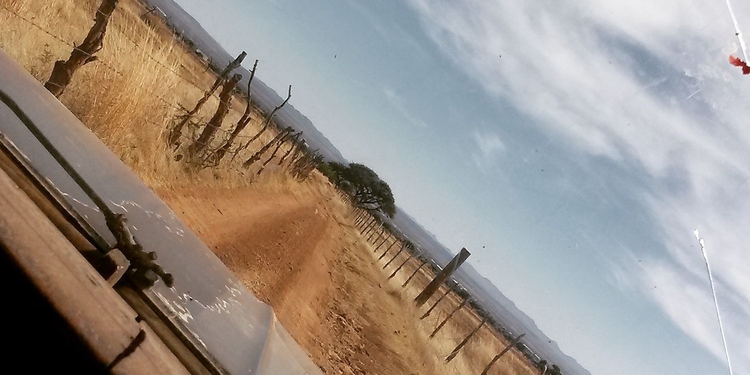 _Cordero_'s profile banner image