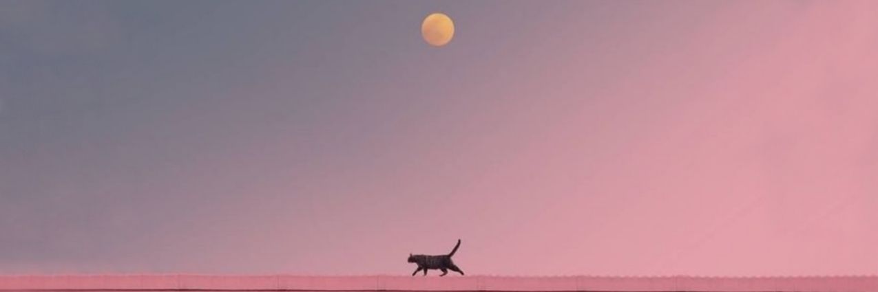 m_beaucoup's profile banner image