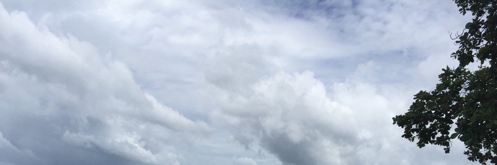 ManzBanz's profile banner image