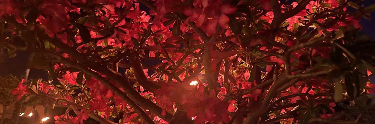tedvolpendesta's profile banner image