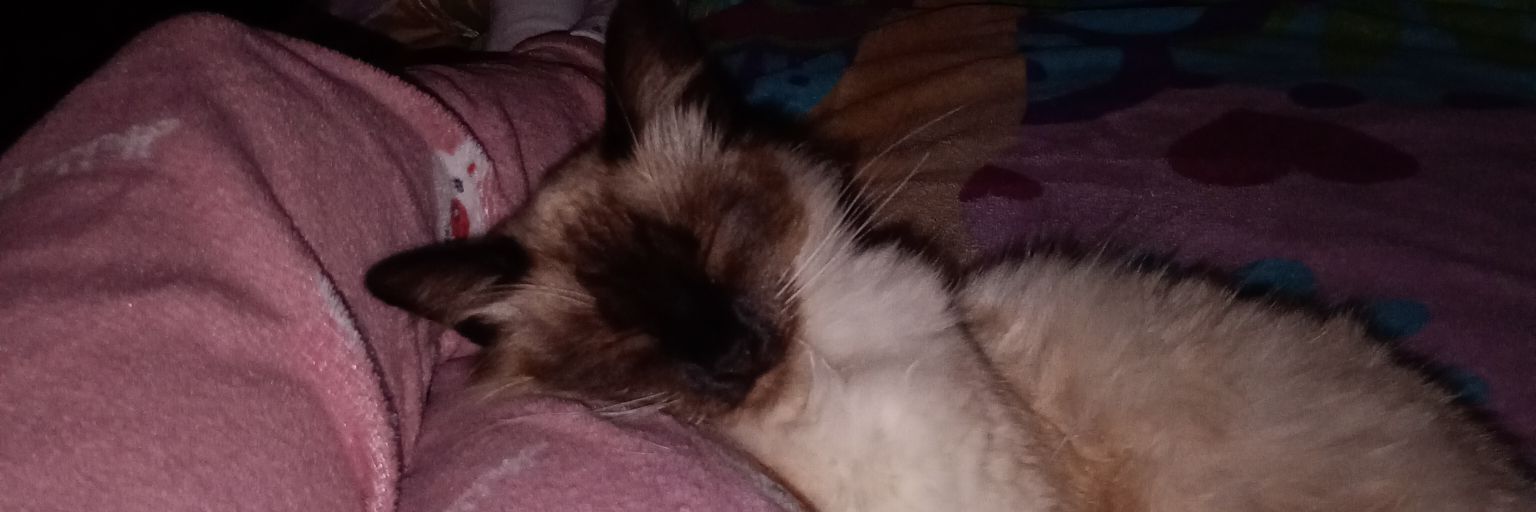 soyferchacj's profile banner image