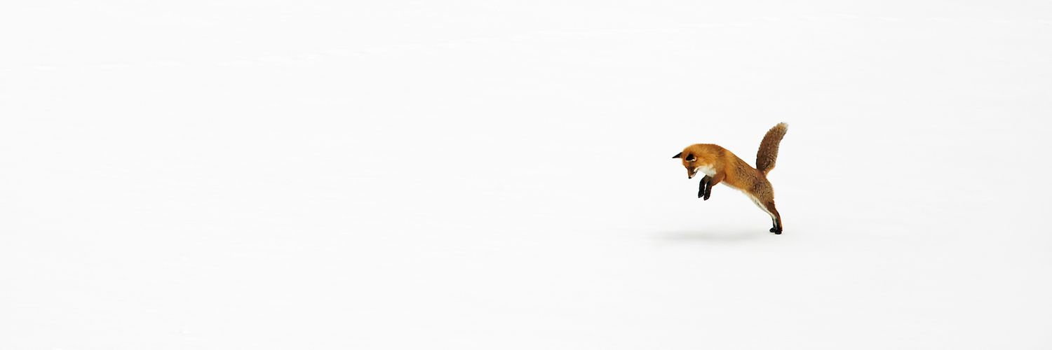Ozer0000's profile banner image
