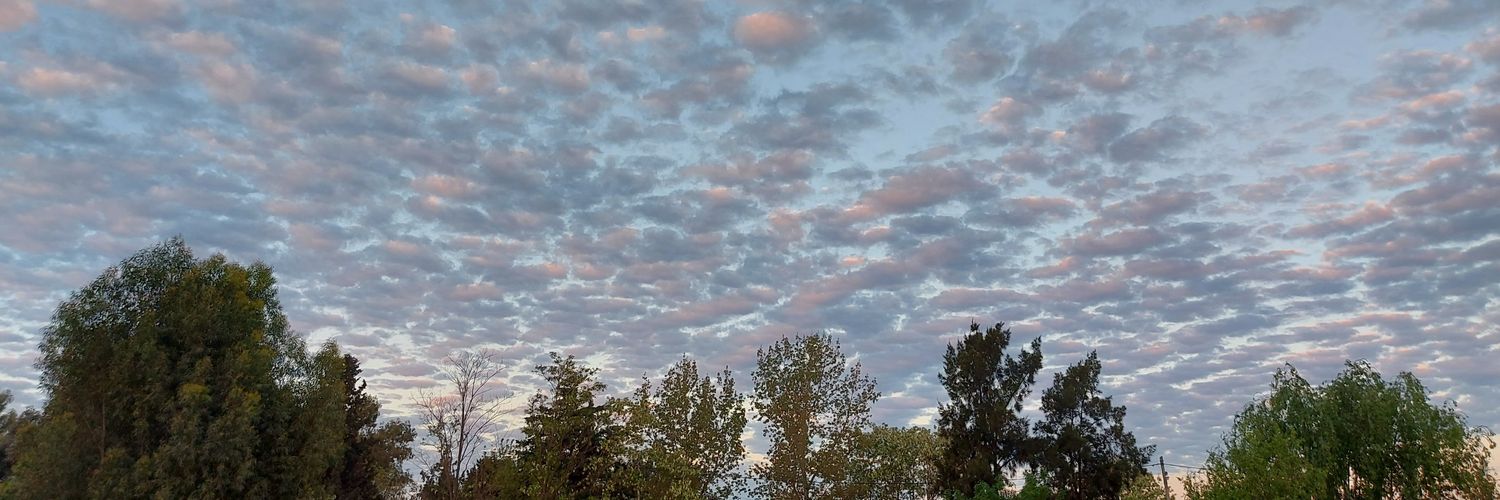 RosALiah_'s profile banner image