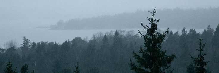 Ms_Allie9's profile banner image