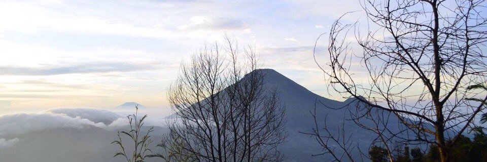 sanditamaa's profile banner image