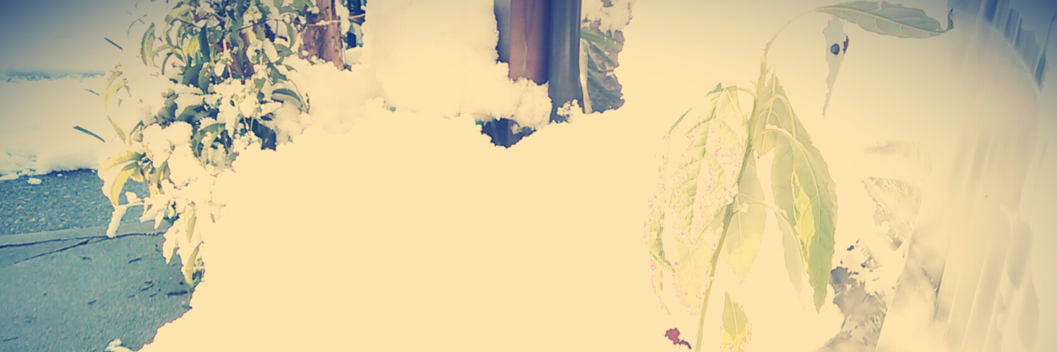 oh_mi_t's profile banner image