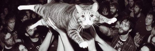 full_chinn Profile Banner