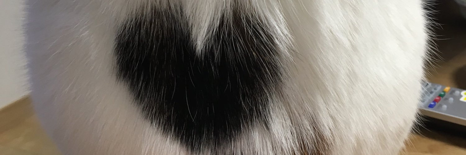 no_pupu's profile banner image