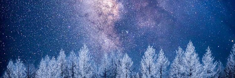 EmilyPevzner's profile banner image