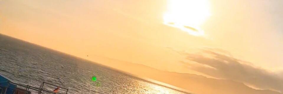 Ella banner
