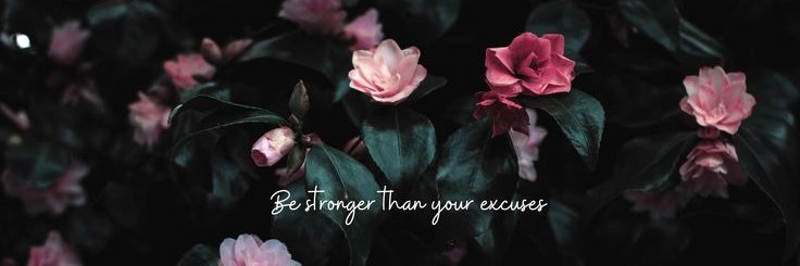 er5rre's profile banner image