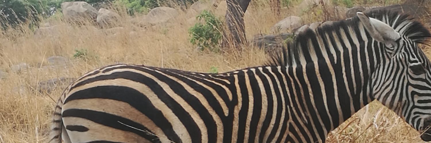 BaTaku263's profile banner image