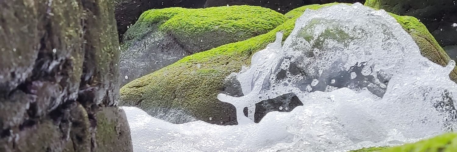 LostJDee's profile banner image