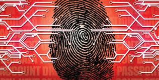 identity_card's profile banner image