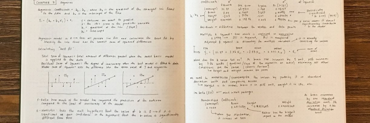 Ellie Frymire banner