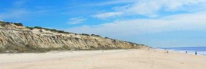 Pat Gromenauer🍺 banner