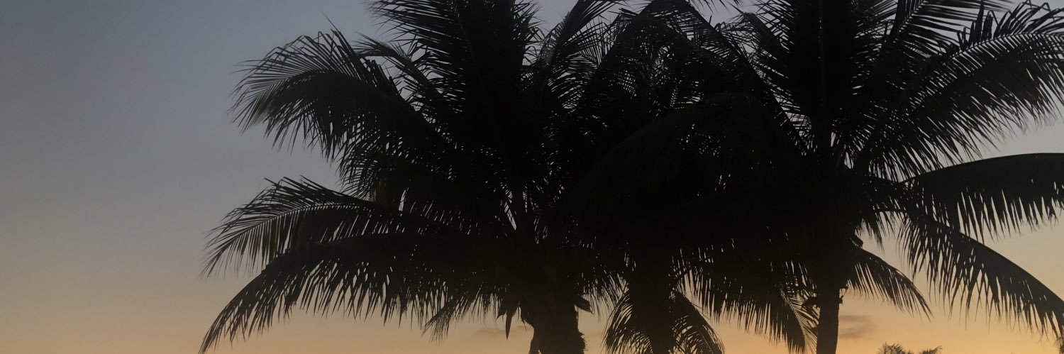 lexiklemp's profile banner image