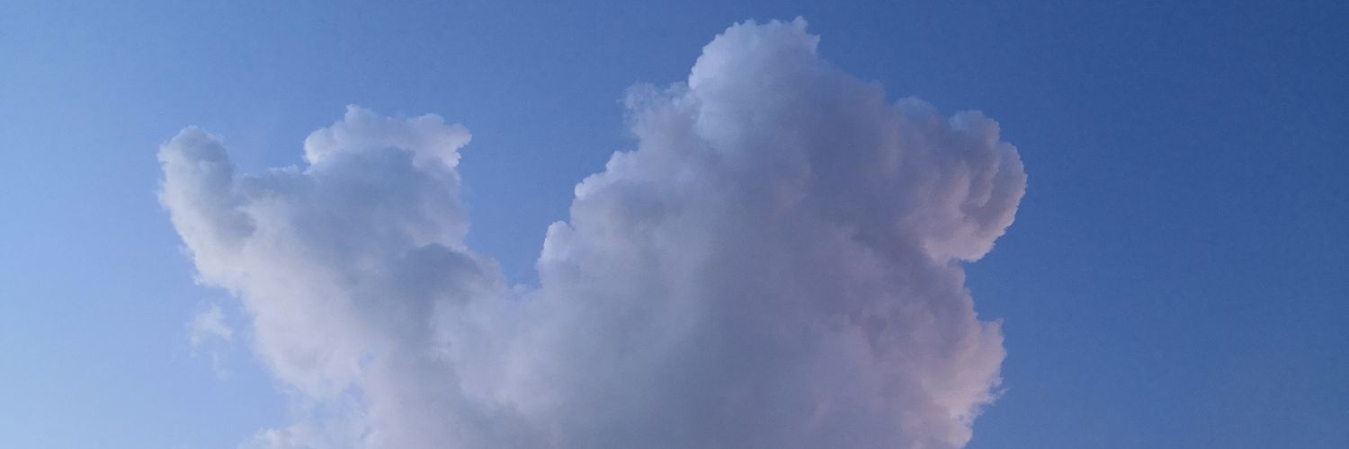 CMvMeii's profile banner image
