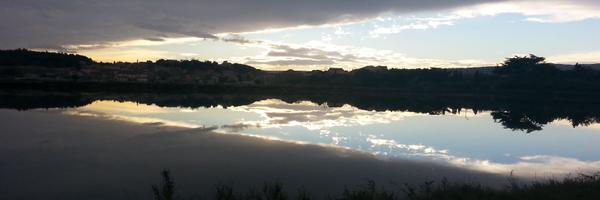 stefleck4 Profile Banner