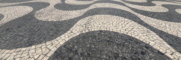 SE250_ Profile Banner