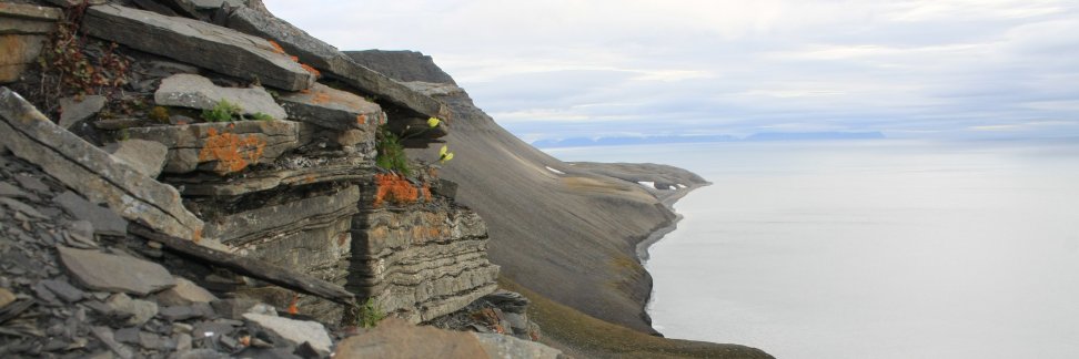 geologytweets's profile banner image