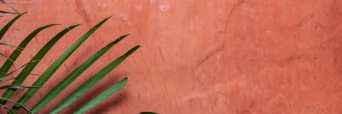 withoutmaria's profile banner image