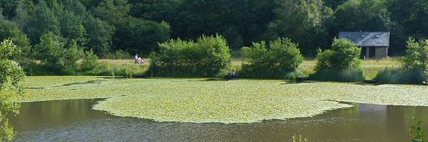 DeriLibrary Profile Banner