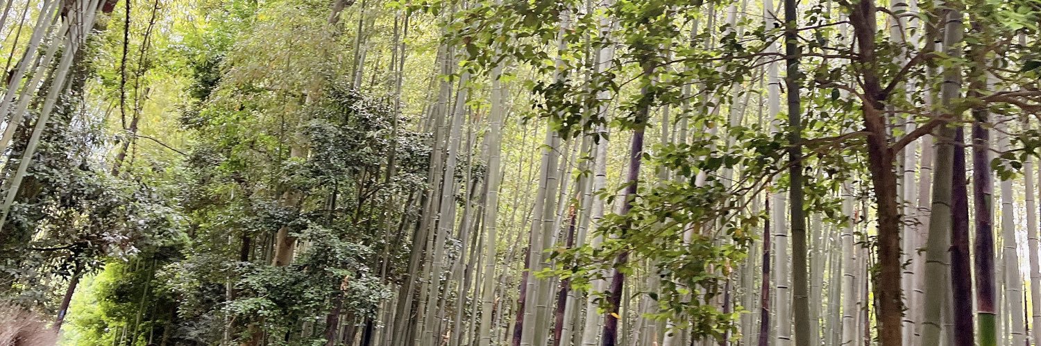 Minami0715T's profile banner image