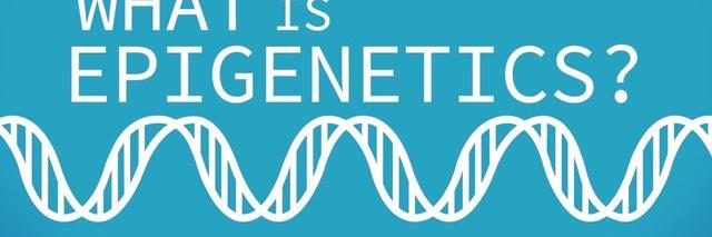 EpigeneticsNews's profile banner image
